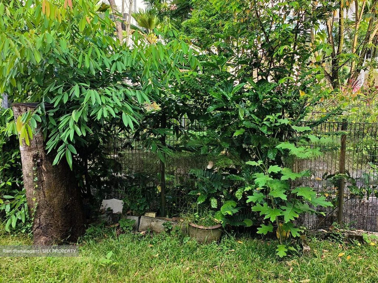 Sembawang Springs Estate (D27), Terrace #529824871